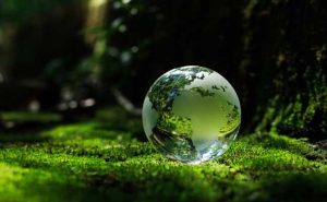 Net Zero di Indonesia: Tantangan, Dampak, dan Solusi